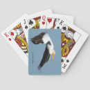Recherche de pélicans jeux de cartes Nature