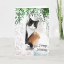 Recherche de orange cat birthday cards Mignon