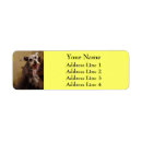 Search for schnauzer return address labels Cute