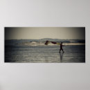 Recherche de pembrokeshire Plage
