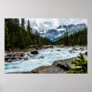 Search for banff national park posters Forest