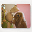 Search for stuffed mousepads Bunny