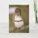 Search for squirrel birthday cards Animals