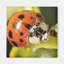 Search for macro Horizontal