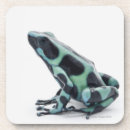 Search for dart coasters Cold blooded