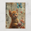 Search for kitten with yarn postcards Feline