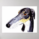 Search for saluki art Funny