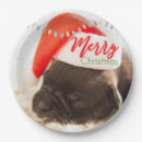 Search for pug plates Merry christmas