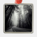 Search for sequoia national park ornaments Nature