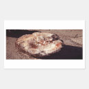 Search for shadows stickers Desert