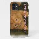 Search for overload Kitten