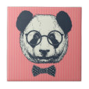 Recherche de pandas carreaux Zoo