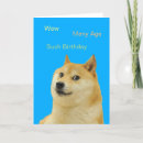 Search for doge cards Funny