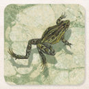 Search for toad coasters Frog