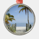 Search for west palm beach ornaments Tropical