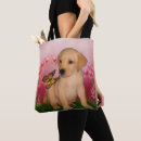 Search for butterfly dog bags Cute