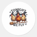 Search for broom stickers Fly