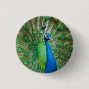 Search for peafowl feather accessories Green