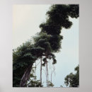 Search for tree trunk posters Branch