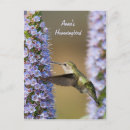 Search for flora vertical postcards Gardening