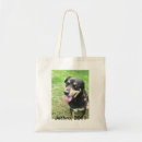 Search for 2011 accessories Dog