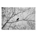 Search for black and white crow art Bird