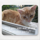 Recherche de chat de gingembre électronique Mousepac