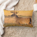 Search for larry pillows Buck