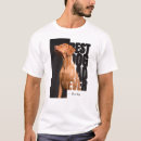 Search for best quotes ever tshirts For him