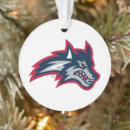 Search for brook ornaments Seawolves