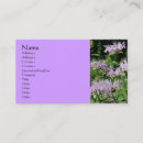 Search for purple flowers business cards Pretty