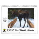 Search for 2013 office supplies Outdoors