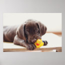 Recherche de papier mache art Chien