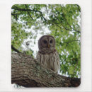 Search for owl mousepads Birds