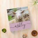 Search for cow binders Sheep