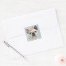 Search for purebred stickers Canine