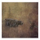 Search for pointer posters German shorthaired pointer