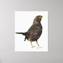 Search for black and white bird canvas prints Wildlife