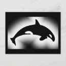 Search for orca whales postcards Black and white