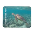 Search for turtle magnets Great barrier reef