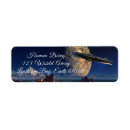 Search for ufo return address labels Space