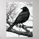 Recherche de nue posters Nature