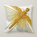 Recherche de de cricket coussins Insecte