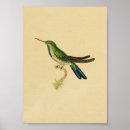 Recherche de bleu turquoise posters Illustration