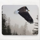 Search for bald tree mousepads Forest