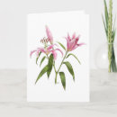 Search for orient cards For her