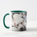Search for adorable puppy mugs Birthdays