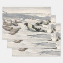 Search for arctic wrapping paper North pole