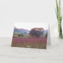 Search for willow tree cards Sunrise
