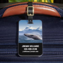 Search for breaching accessories Alaska